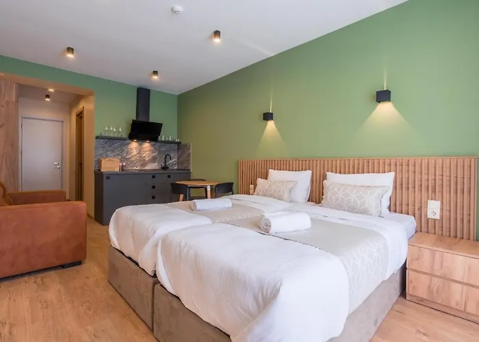 New Gudauri Apartments In Twins